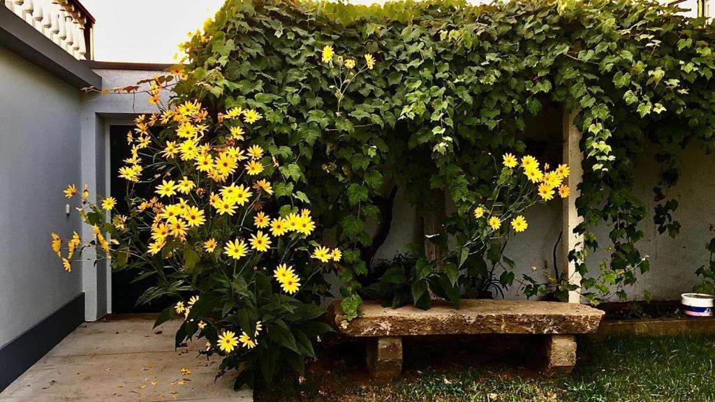 Casa As Sete Villa Angra do Heroísmo Dış mekan fotoğraf