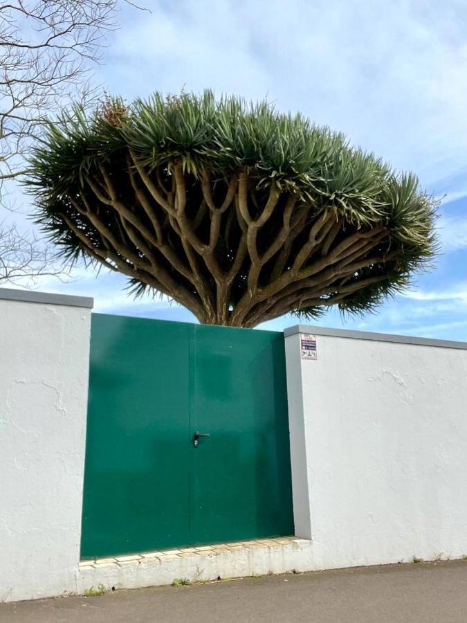 Casa As Sete Villa Angra do Heroísmo Dış mekan fotoğraf